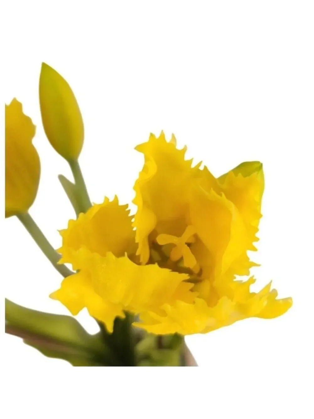 Yellow Artificial Tulips 15 Inch Set of 5 Faux Spring Flowers Easter Decor